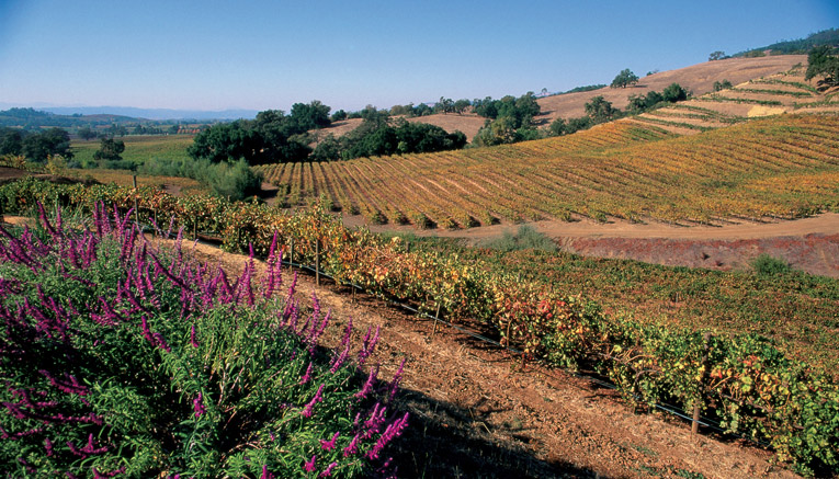 Bavi-alexandervalley-biking-10